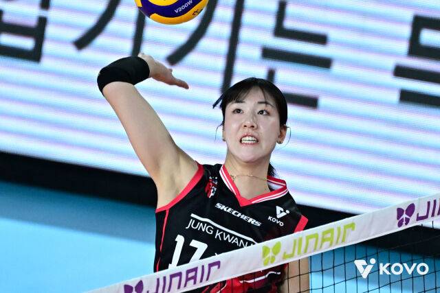 정관장 시절 공격을 시도하는 정호영./KOVO