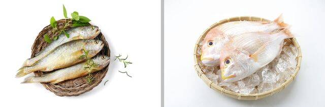 조기(왼쪽)와 도미. 클립아트코리아