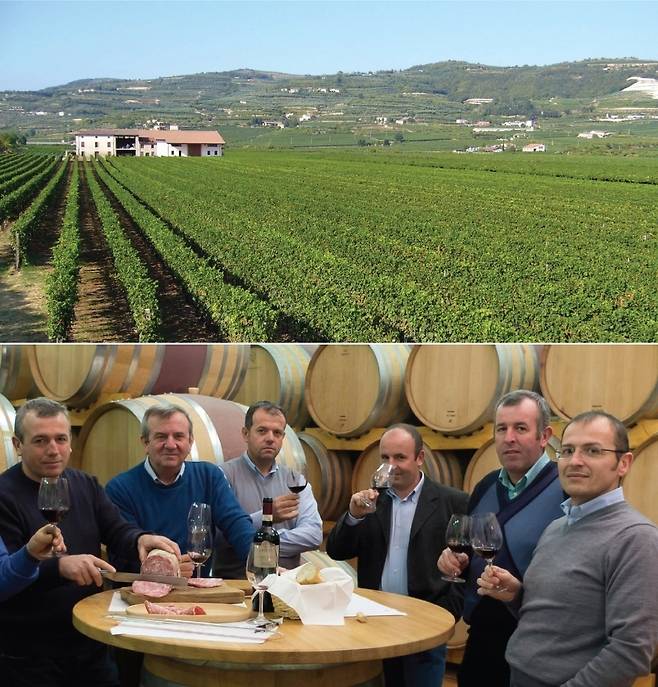 라티움 모리니 패밀리와 포도밭. 홈페이지