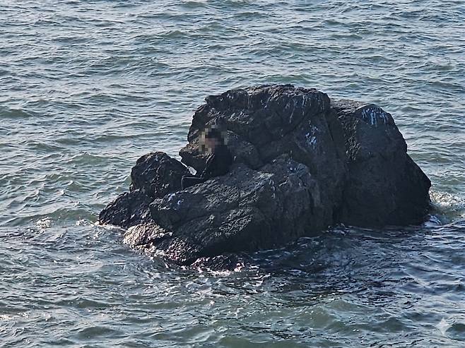 갯바위에 고립된 A씨 [평택해경 제공. 재판매 및 DB 금지]