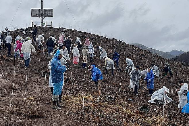 산불 피해지서 나무 심는 사람들 (안동=연합뉴스) 4일 오전 경북 안동시 풍천면 어담리 야산에서 자원봉사자들이 '안동 산불 피해지 복원 나무 심기 행사'에 참여하고 있다. 2026.4.4 [사단법인 평화의 숲 제공. 재판매 및 DB 금지] photo@yna.co.kr