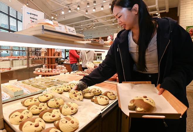 20일 대전 서구의 한 빵집에서 오월드를 탈출했다가 무사히 포획된 늑대 '늑구'의 빵이 출시돼 시민들의 관심을 끌고 있다. 김주형 기자 kjh2667_@cctoday.co.kr