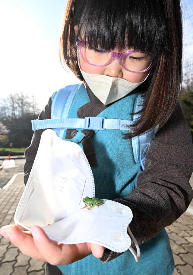 함양군 목현마을에서 금반초 최유정 학생이 통학버스를 기다리다 길가의 청개구리 한 마리를 잡아 관찰하고 있다.