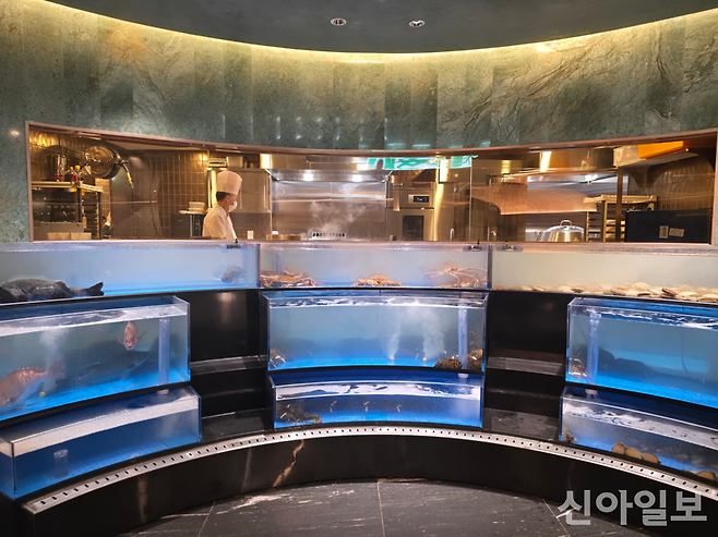 서울 종로구 KT광화문빌딩 웨스트(West) 15층에 위치한 중식 씨푸드 다이닝 '도원·S' 입구의 대형 수조. [사진=신현숙 기자]