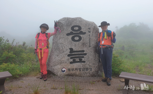 강원 도 대암산 용늪