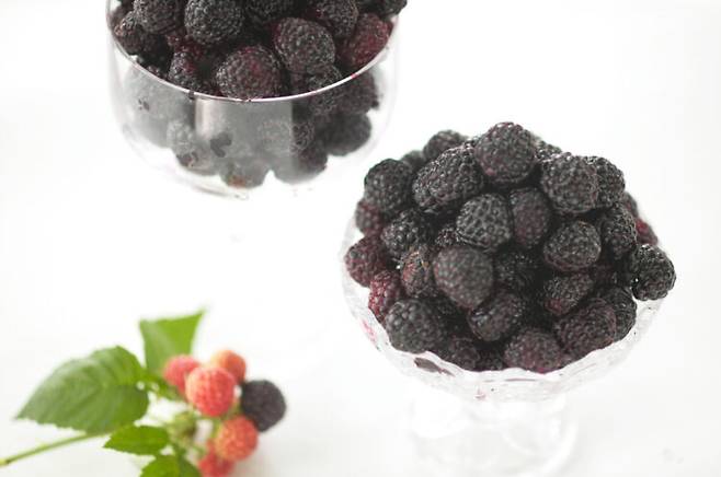 안토시아닌, 비타민C, 탄닌 등이 풍부한 복분자는 갱년기에 접어든 남성에게 특히 좋은 식품으로 꼽힌다. 사진=클립아트코리아