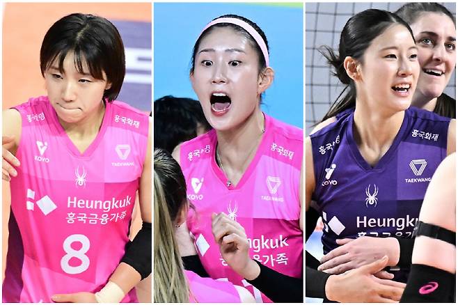 왼쪽부터 흥국생명 도수빈, 김수지, 박민지. 사진제공=KOVO