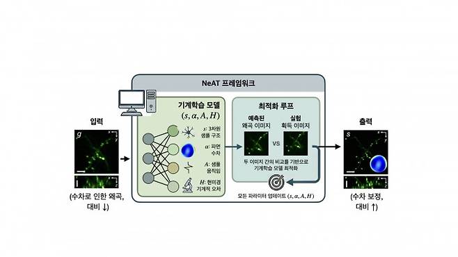 형광 현미경 왜곡 보정을 위한 프레임워크. KAIST 제공