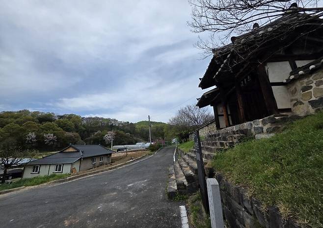 지난 13일 저녁 늑구가 다녀간 무수천하마을을 유회당 쪽에서 바라본 모습. 최예린 기자