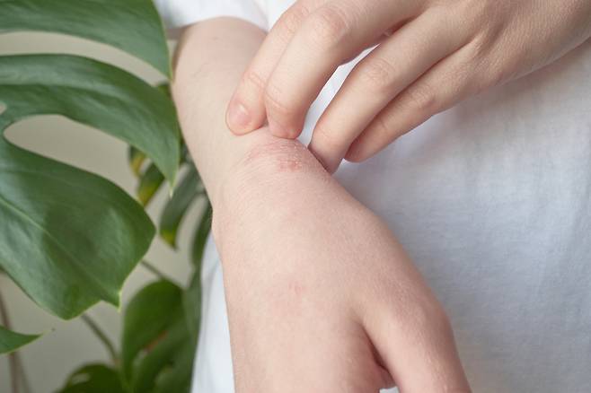 사진=클립아트코리아