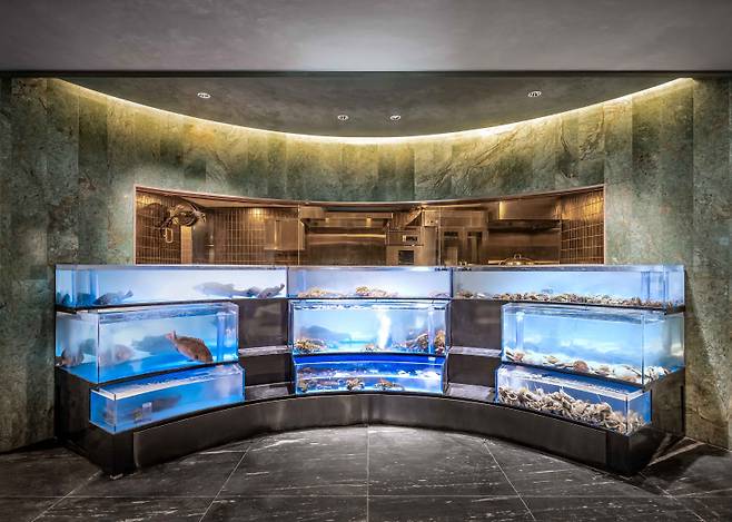 도원S 입구에 위치한 대형 라이브 수족관