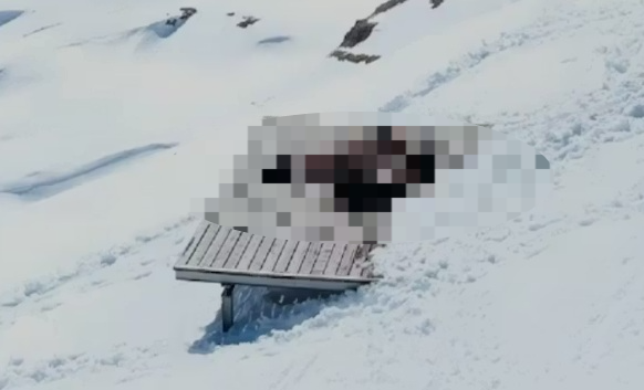 스위스 알프스 파울호른 정상의 기상 관측용 웹캠에 한 커플의 성관계 장면이 실시간으로 포착돼 온라인에서 화제가 됐다. [사진출처 = Heute]