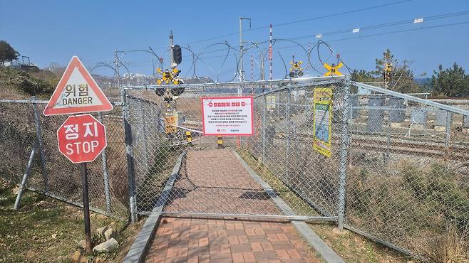 “무슨 휴전선도 아니고...” 하평해변 통제 철책