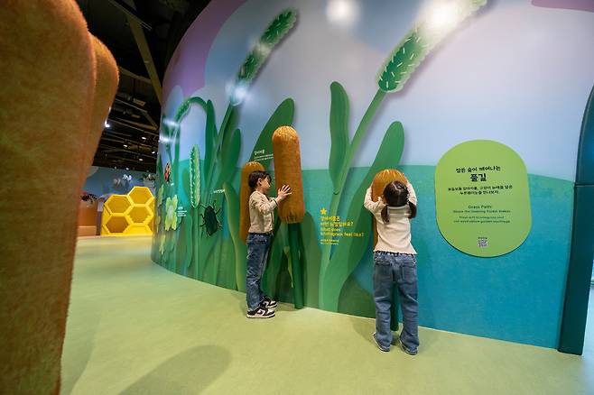 상설전시 '자연숲, 작아져야 보이는 세계' 전경.