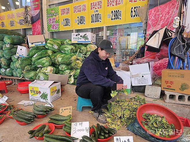 말바우시장 장보고싶은축산 인근 청과점에서 야채류를 파는 박성숙(40·여) 씨 역시 같은 날 다시 만났지만 “아직도 통합특별시장 선거나 후보별 공약에 대해서는 잘 모르겠다”며 손사레를 쳤다.최류빈기자 rubi@mdilbo.com