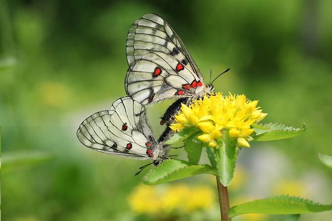 태양이. (사진 이강운 대기자)/뉴스펭귄