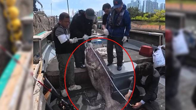 ⓒ KNN 방송화면 캡처