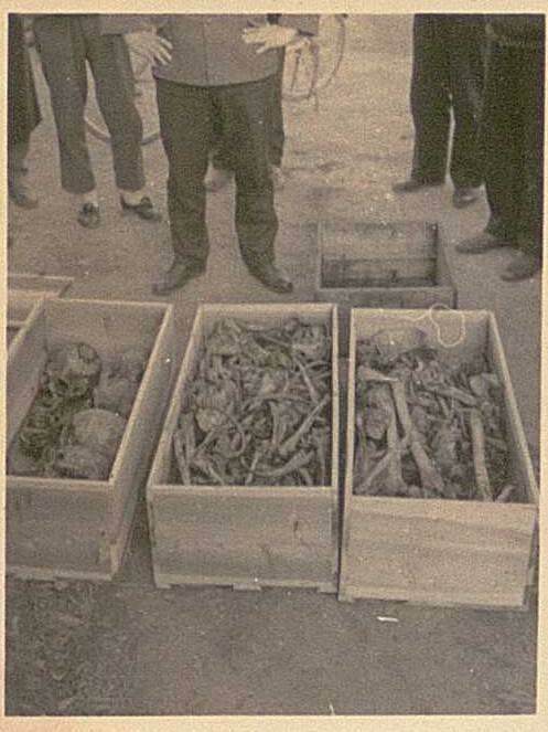 일본 프리랜서 언론인 후세 유진 기자가 일본 후생노동성을 상대로 한 정보공개청구로 확보한 ‘우키시마호 사망자 유해 처리에 관한 보고’ 문서에서 1950년 우키시마호 인양 당시 수습된 유골들이 나무 상자에 무더기로 담겨 있다. 후세 유진 제공