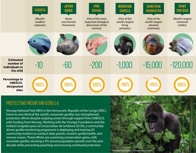 유네스코가 21일 펴낸 ‘유네스코 보호지역의 사람과 자연’ 보고서의 일부. 바키타 돌고래, 자바코뿔소, 마운틴고릴라, 수마트라 오랑우탄 등 유네스코 보호지역에 서식하고 있는 국제적 멸종위기 종 현황을 담고 있다. 유네스코 제공