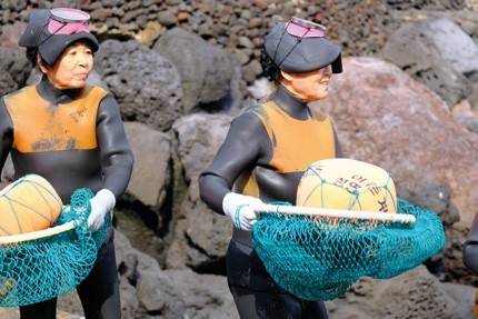 유네스코가 21일 펴낸 ‘유네스코 보호지역의 사람과 자연’ 보고서에서 세계자연유산, 생물권보전지역, 세계지질공원 등 유네스코의 보호지역 3개 형태 모두로 지정된 사례이자 인간과 자연이 공존하는 지역으로 꼽힌 제주도의 해녀들 모습. 유네스코 제공