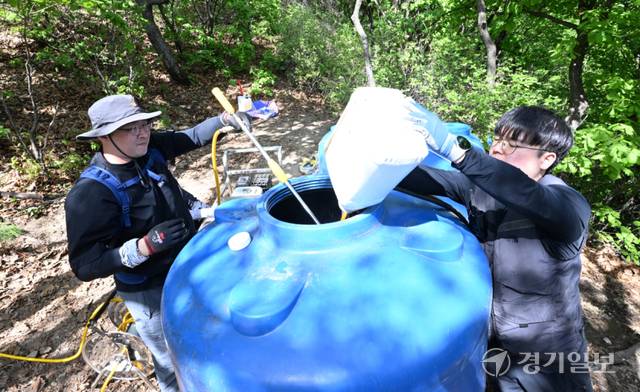 22일 인천 계양산 정상에서 김동건 삼육대학교 교수와 관계자들이 붉은등우단털파리(러브버그) 개체수 저감을 위한 미생물 제제 BTI를 물에 희석하고 있다. 조병석기자