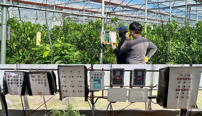 스마트농업(해당 기사와 직접적 관련 없음). 연합뉴스