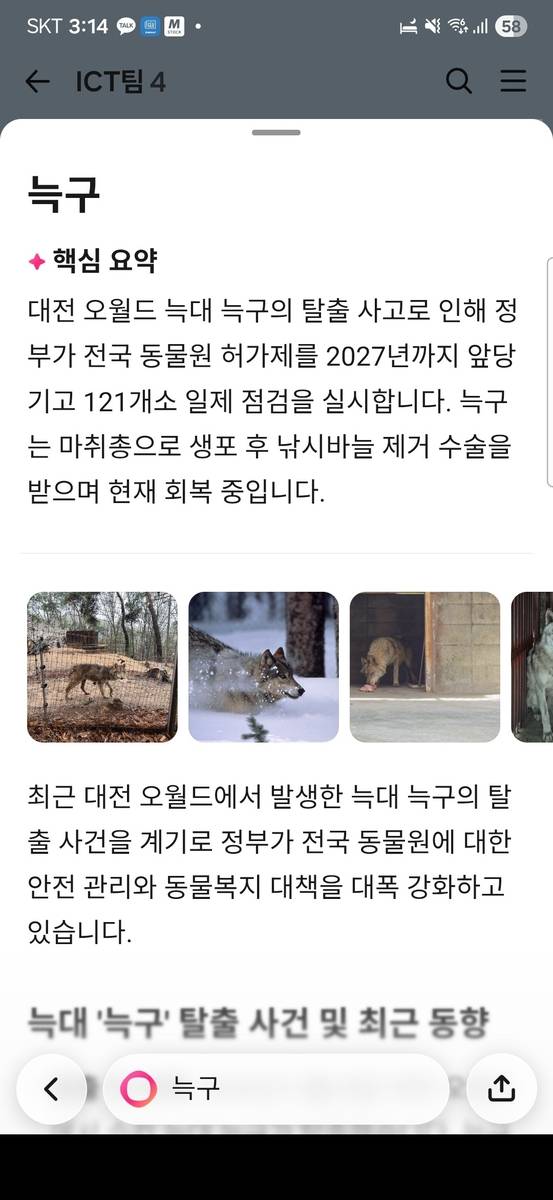 카나나 검색 화면 캡처