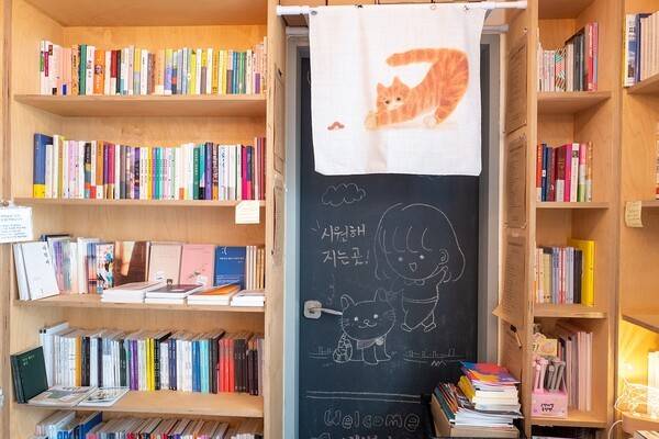 사진= 새벽감성 1집