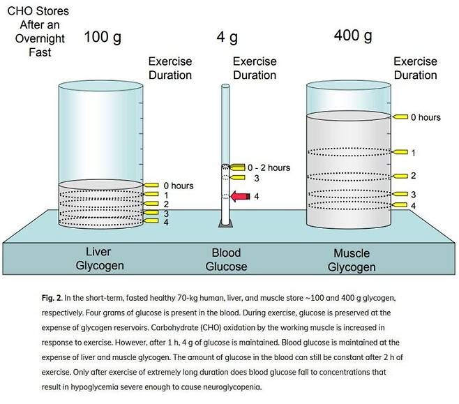 DH Wasserman. Four grams of glucose. Am J Physiol Endocrinol Metab 2009
