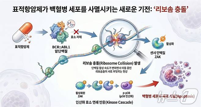 백혈병 항암제 이중 역할 규명 연구 이미지(AI 생성·KAIST 제공) /뉴스1
