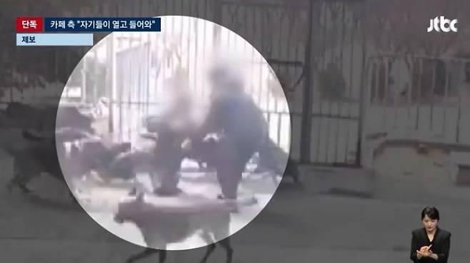 지난달 27일 경기 고양시에 있는 한 애견카페에서 맹견들이 20대 여성 A씨를 공격하는 모습. JTBC 방송화면 캡처