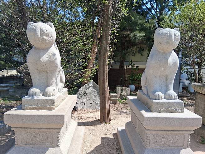 간송미술관 정문 앞을 지키던 석사자상이 중국으로 반환되면 그 자리에 대신 들어설 돌호랑이(석호) 한쌍. 1935년 경성미술구락부에서 간송이 구매한 뒤로 간송가의 거처인 북단장 입구에 놓였던 상으로 최근 미술관 바로 옆으로 옮겨왔다. 동그란 얼굴 모양과 몸을 곧추세운 모습 등에서 기존 왕릉의 석호상과 크게 달라 19세기 말~20세기 초 유력 가문의 무덤가에 놓기 위해 만든 것으로 추정된다. 노형석 기자