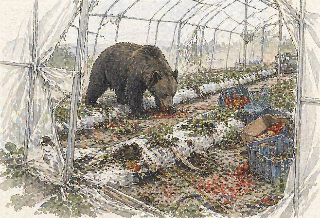 곰이 비닐하우스에 들어와 농작물을 훼손하는 모습. 기사의 이해를 돕기 위해 생성형 인공지능(AI)으로 제작한 이미지입니다.