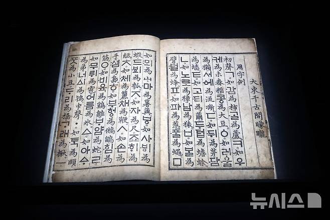 [서울=뉴시스] 박진희 기자 = 국립중앙박물관이 개관 20주년을 맞아 선보인 '훈민정음'이다. 2025.06.09. pak7130@newsis.com
