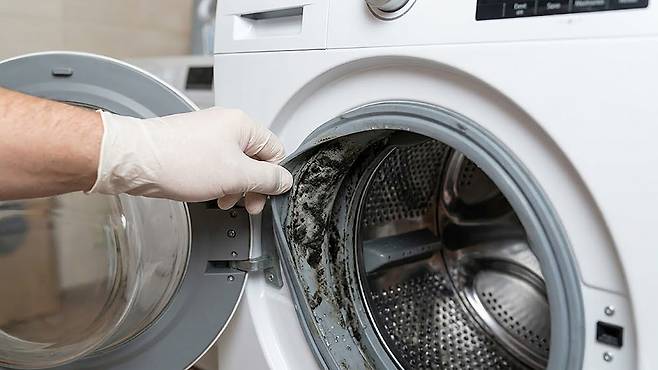 겉보기에 멀쩡한 세탁기도 입구 고무 패킹(개스킷)을 들추는 순간 감춰진 위생의 민낯이 드러난다. 게티이미지뱅크