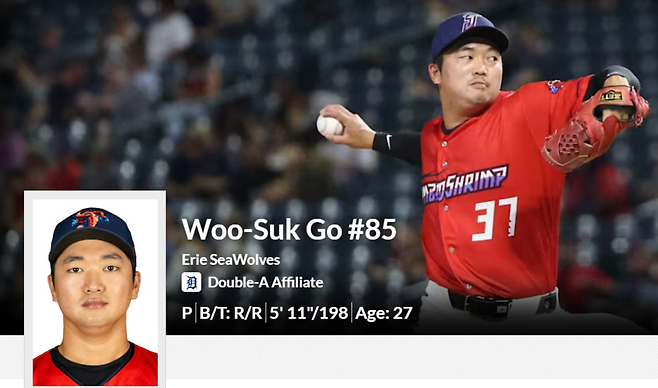 ▲ 디트로이트 구단 산하 트리플A팀인 톨레도는 지난 9일(한국시간) 고우석을 구단 산하 더블A팀인 이리 시울브스로 이관했다고 밝혔다.&nbsp; ⓒMilb.com 캡처