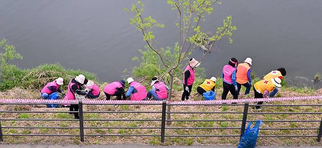 리빙랩 3고 YP 봉사활동 모습. 사진=양평군 제공