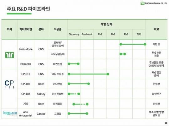 부광약품 주요 파이프라인. /사진=부광약품