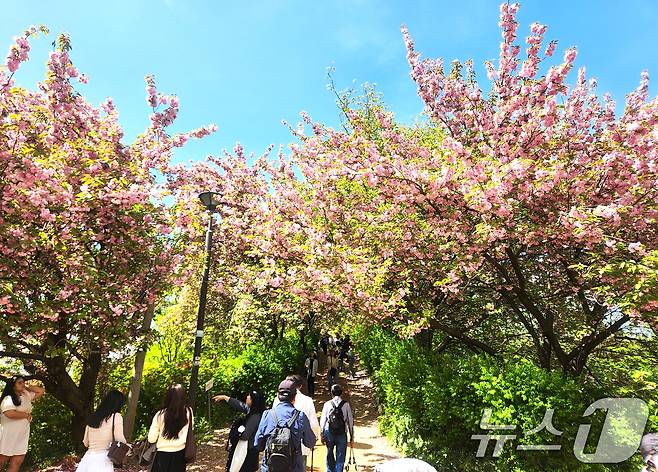 완연한 봄 날씨를 보인 24일 전북 전주시 완산공원 꽃동산에 상춘객들의 발길이 이어지고 있다. 2026.4.24 ⓒ 뉴스1 임충식 기자