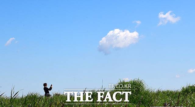 서울 마포구 하늘공원을 찾은 한 시민이 맑은 하늘을 만끽하며 산책을 즐기고 있다. /더팩트 DB