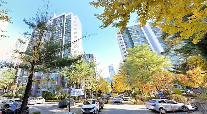 성남시 분당구 한솔4단지 전경. /네이버 로드뷰