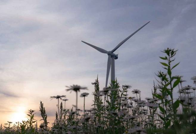 평창 육백마지기. 한국관광공사 제공