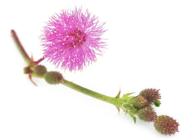 게티이미지뱅크