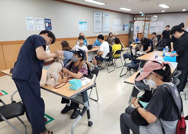 지난해 찾아가는 동물병원 모습 [관악구 제공. 재판매 및 DB 금지]