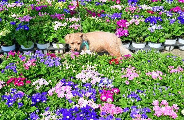 사진 = 기호일보 DB