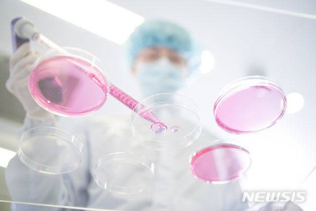 제공=뉴시스