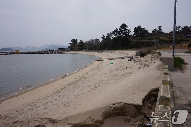 저도 마을 앞 백사장. 2026.4.24. 뉴스1 ⓒ News1 조영석 기자