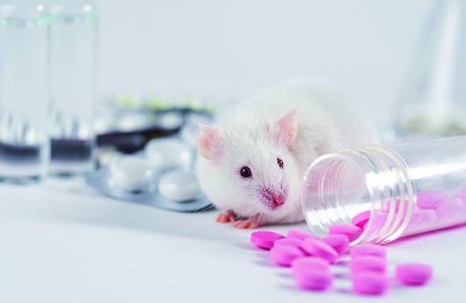 게티이미지뱅크 제공