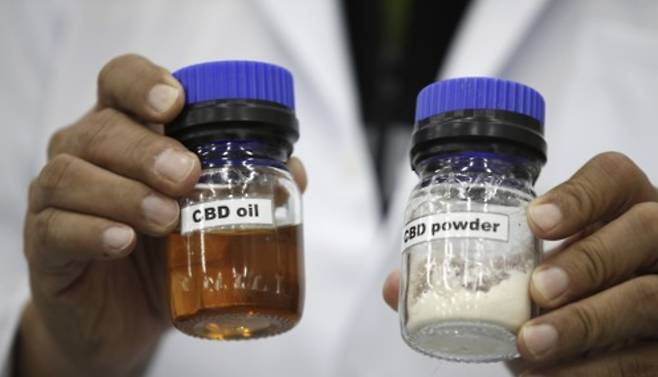 태국 파툼타니주의 대마 추출·생산 공장에서 한 제약 과학자가 태국 전통의약 제조에 쓰이는 칸나비디올(CBD) 오일과 CBD 분말을 들어 보이고 있다. 2022.09.08 [사진=EPA/연합뉴스]
