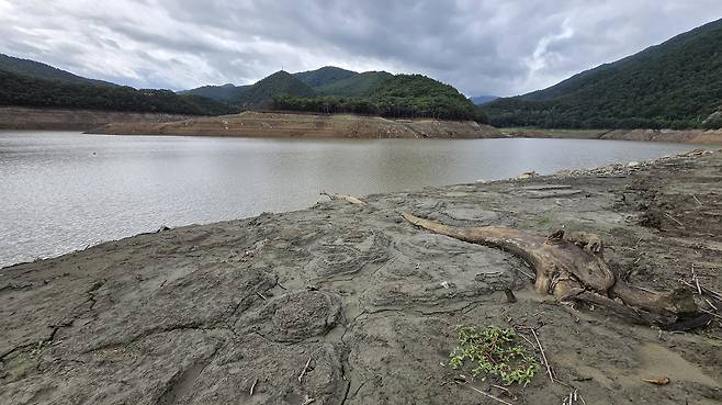 강원도 강릉지역 87%의 생활용수를 공급하는 상수원 오봉저수지의 물 밖으로 드러난 맨땅이 쩍쩍 갈라진 상태를 하고 있다.[연합]